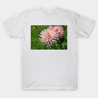 Real Beautiful Flowers outside T-Shirt